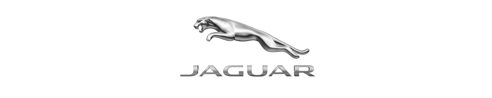 Télécommandes compatibles Jaguar | Clés de voiture